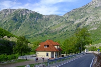 DSCF8640