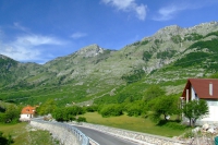 DSCF8642