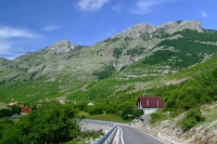 DSCF8644