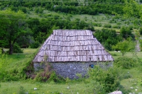 DSCF8650