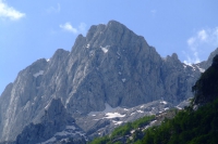 DSCF8651