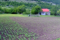 DSCF8653