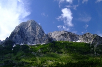 DSCF8655