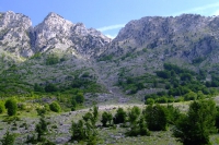DSCF8656