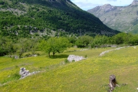 DSCF8658