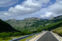 DSCF8659