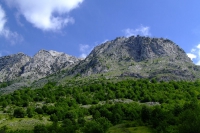 DSCF8660