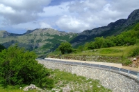 DSCF8666