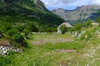DSCF8668