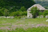 DSCF8669