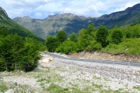 DSCF8672