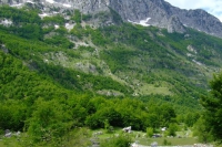 DSCF8682