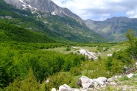 DSCF8695