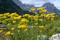 DSCF8697