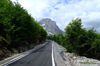 DSCF8704