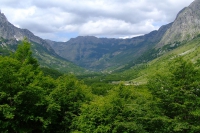 DSCF8708