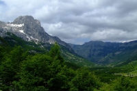 DSCF8709