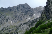DSCF8711