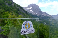 DSCF8720
