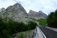 DSCF8729