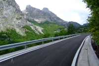 DSCF8730