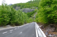 DSCF8734