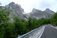 DSCF8740