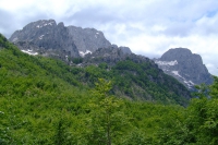 DSCF8742