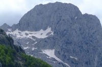DSCF8746