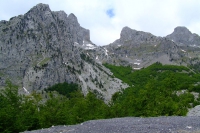DSCF8749