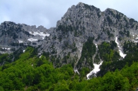 DSCF8755