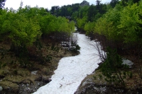 DSCF8760