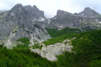 DSCF8761