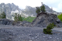 DSCF8775