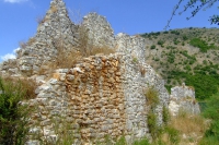 DSCF0853