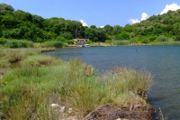 DSCF0855