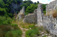 DSCF0856