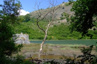 DSCF0858