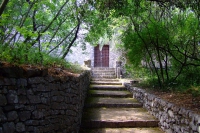 DSCF0860
