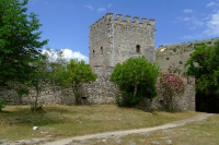 DSCF0866