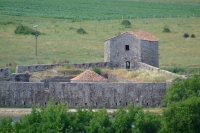 DSCF0868