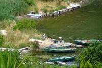 DSCF0910