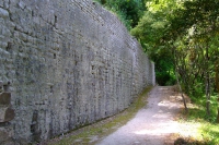 DSCF0921