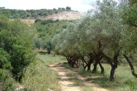 DSCF1009