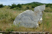 DSCF1014
