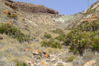 Cabo de Gata-Nijar Natural Park