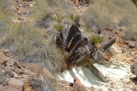 Cabo de Gata-Nijar Natural Park