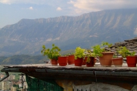 Flowers on the roof in Gjirokastër, Albania