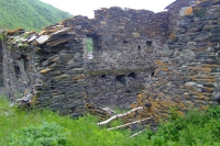 DSCF2772