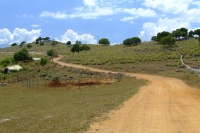 Road near Ksamil village